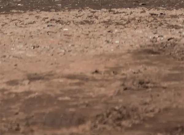 Alternative fill and capping material